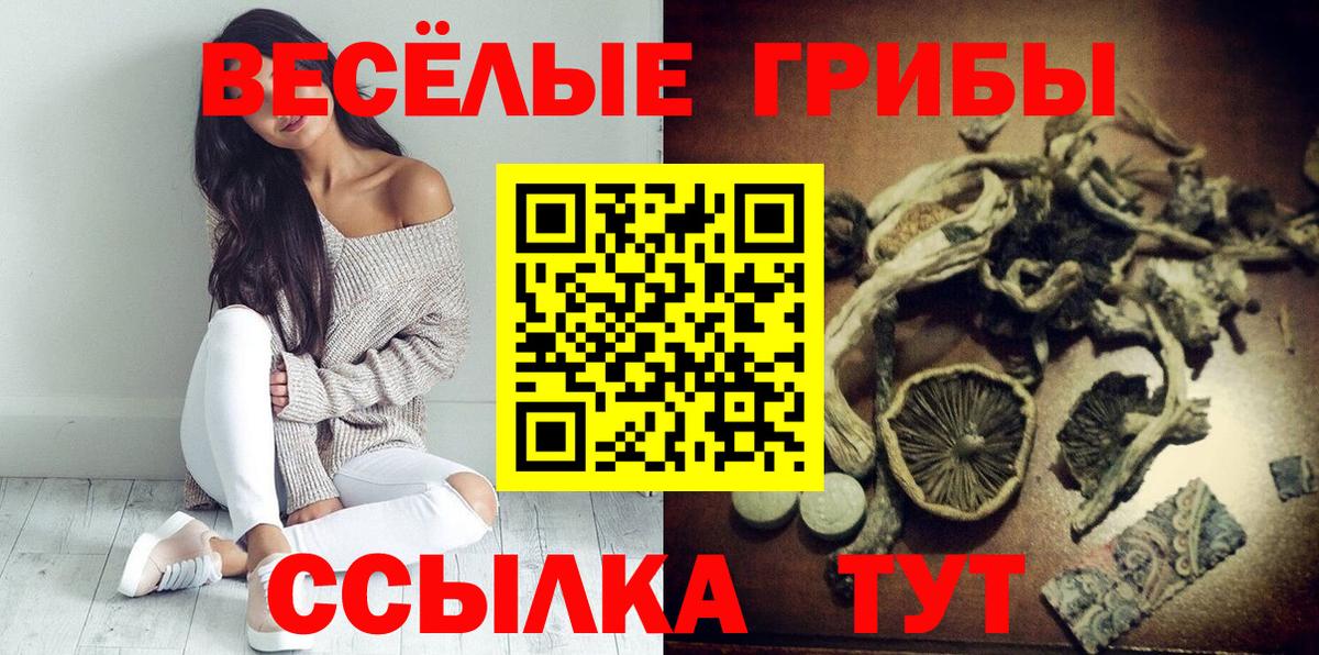 Псилоцибиновые грибы мухоморы Ульяновск