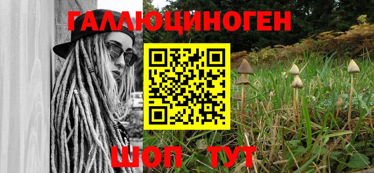 Ульяновск  Псилоцибиновые грибы мухоморы  где купить наркоту  Вход с VPN 